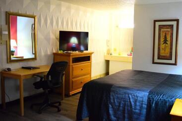 호텔 Super 8 By Wyndham Newcastle