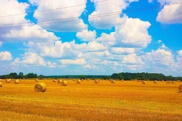 بنسيون Schloss Dretzel