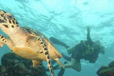 בית מלון כפרי Mai Chameguin Hospedagens Paraty
