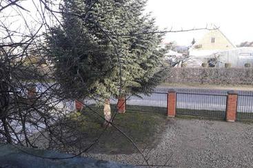 پانسیون Skifija