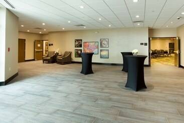 هتل Drury Inn & Suites Mcallen