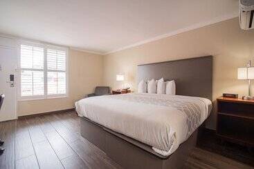 בית מלון כפרי Equus Inn I75