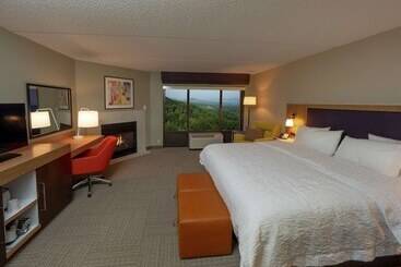 酒店 Hampton Inn Hazleton