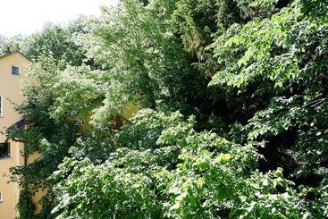 Жильё для туристов 3 Zimmer Apartment In Altstadtlage