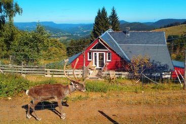 Bed and Breakfast Chambres D Hôtes La Petite Finlande