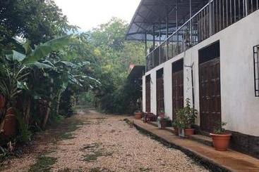 هاستل Toucan House