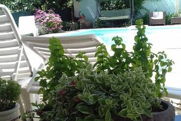 آپارتمانهای توریستها Apartments Gvacic