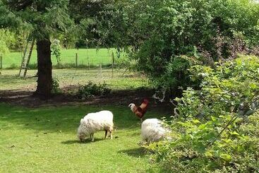 호텔 La Roulotte De L Albizia