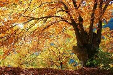 דירות לתיירים Apartment Frasquita Boa