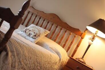 ツーリストアパートメント Homelea Cottage