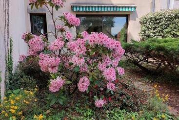 관광객 아파트 Le Denyspuech 55m2 Plein Centre Avec Jardin!