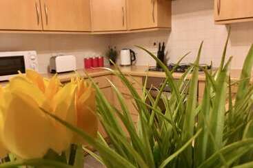 Жильё для туристов Eastleigh House Near Airport