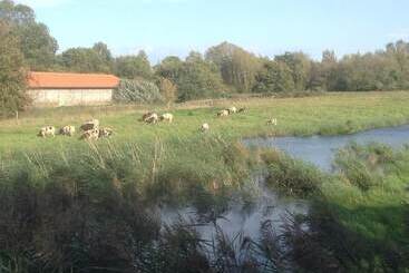 بيت ريفى Lackford Lakes Barns