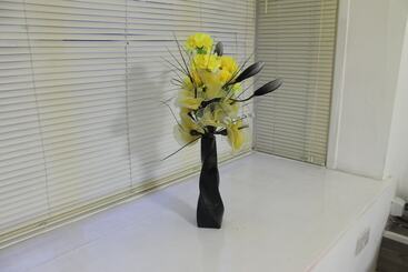 بنسيون Sidney Place