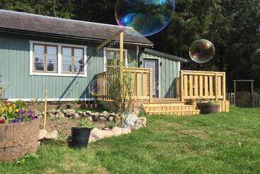 קוטג'' Apple Pip