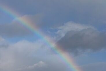 Yewtree Cottage  The Art House