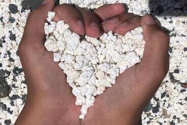 آپارتمانهای توریستها Paulalucía