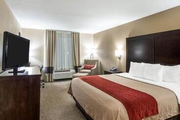 בית מלון כפרי Comfort Inn & Suites Fm1960 Champions