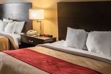 酒店 Quality Inn Hayti North