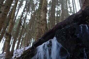 Ferienwohnungen Wiesenhof