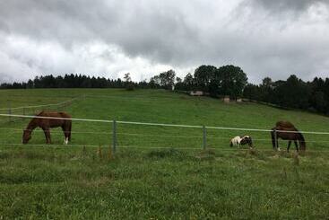 בית מלון כפרי Aschberg Chalet