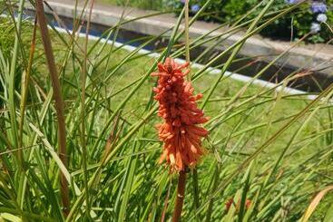 דירות לתיירים Quinta Frizado