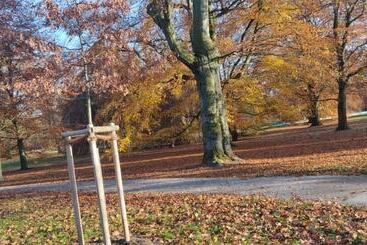 Apartment Osterstraße 123