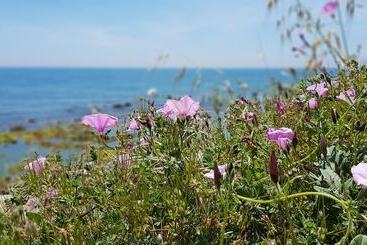 آپارتمانهای توریستها Exquisite Calahonda Beach Studio