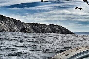 פנסיון Pensión Playa De Sardiñeiro