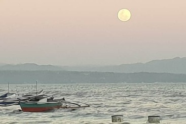 هتل Alona Beach Side Inn