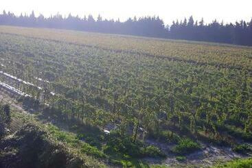 Жильё для туристов Maison De 2 Chambres Avec Jardin Clos Et Wifi A Pujaut