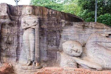 Отель Lion Resort