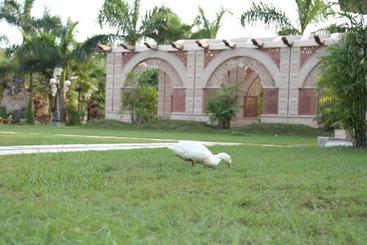 استراحتگاه Mann The Palm Retreat