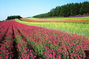 فندق La Vista Furano Hills Hot Springs