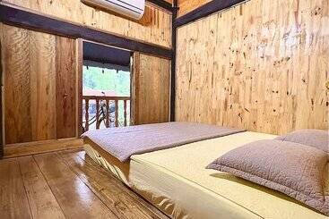 هاستل The Art   Golden Jungle House