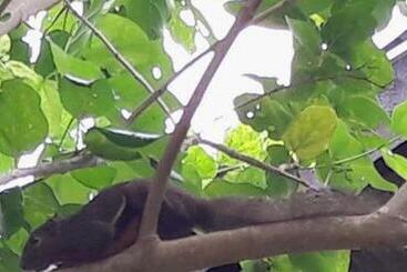 住宿加早餐 Berakit Bay Resort