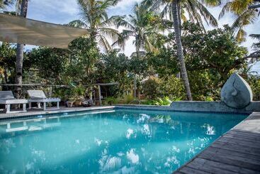 ホテル Turtle Cove Lodge And Yoga Shala