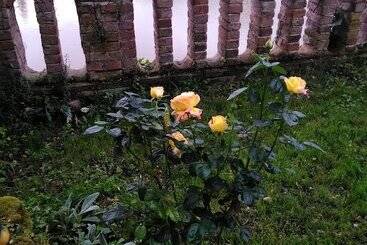 민박 Le Relais De Joseph