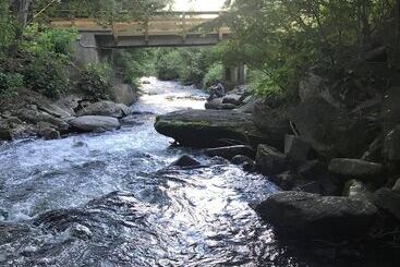 בית מלון כפרי Route 19 Inn