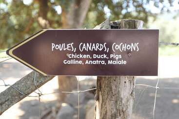 ホテル Le Rendez Vous De L été