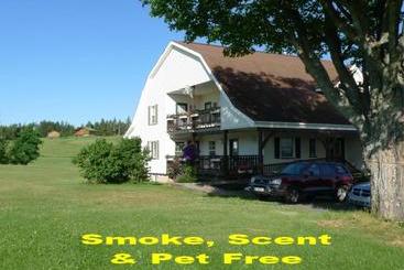 בית מלון כפרי Forest Haven Inn