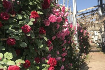 פנסיון Manhong's Private Courtyard