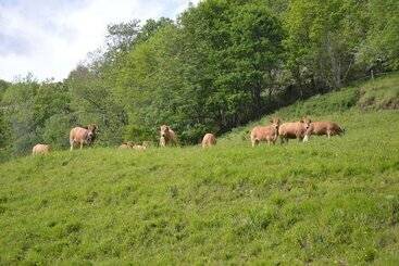 ベッドアンドブレックファースト Chambres D Hôtes Le Lepadou Bas
