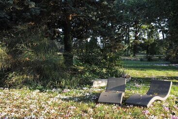 ベッドアンドブレックファースト Château De La Chaussée