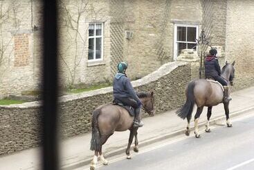 여관 The Kings Arms