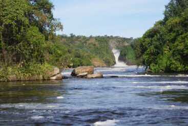 هتل Pakuba Safari Lodge