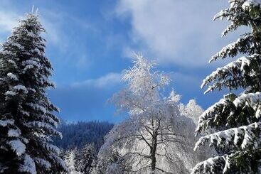 펜션 Auberge Nemoz