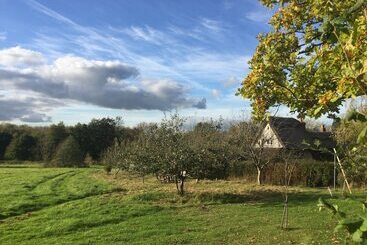 Thatched Cottage B&b