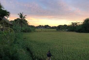 بنسيون Derose Guest House