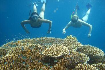 דירות לתיירים Villa Talia Vashti   Oceanfront Villa With Private Sea Access, Pool & Cook